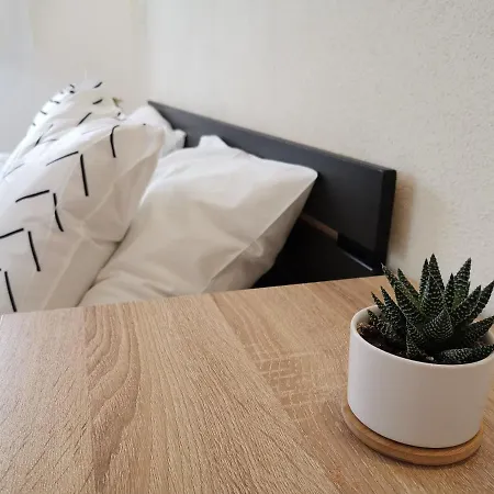 Moderne Mit Designbad * Petting
