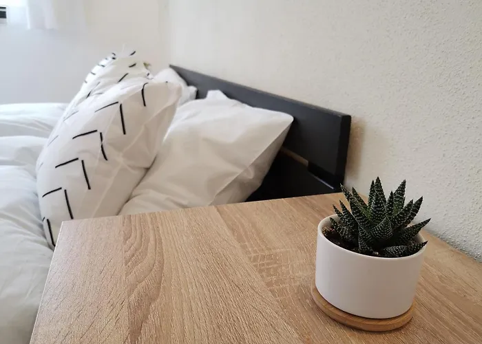 Moderne Mit Designbad * Petting
